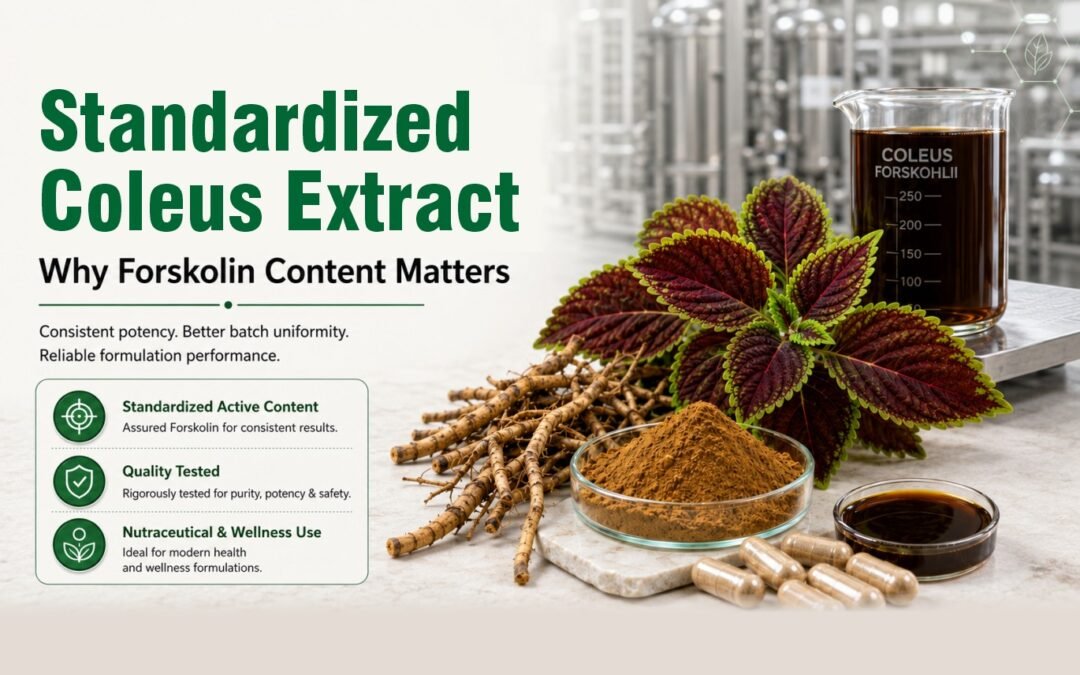 Standardized Coleus Extract: Why Forskolin Content Matters