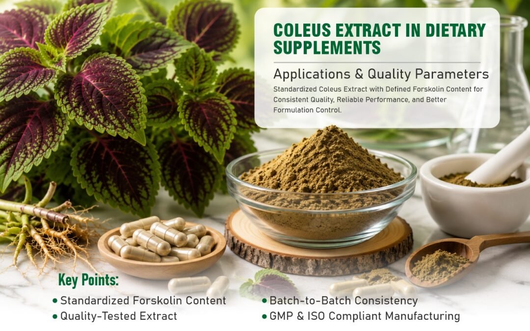 Coleus Extract in Dietary Supplements: Applications and Quality Parameters