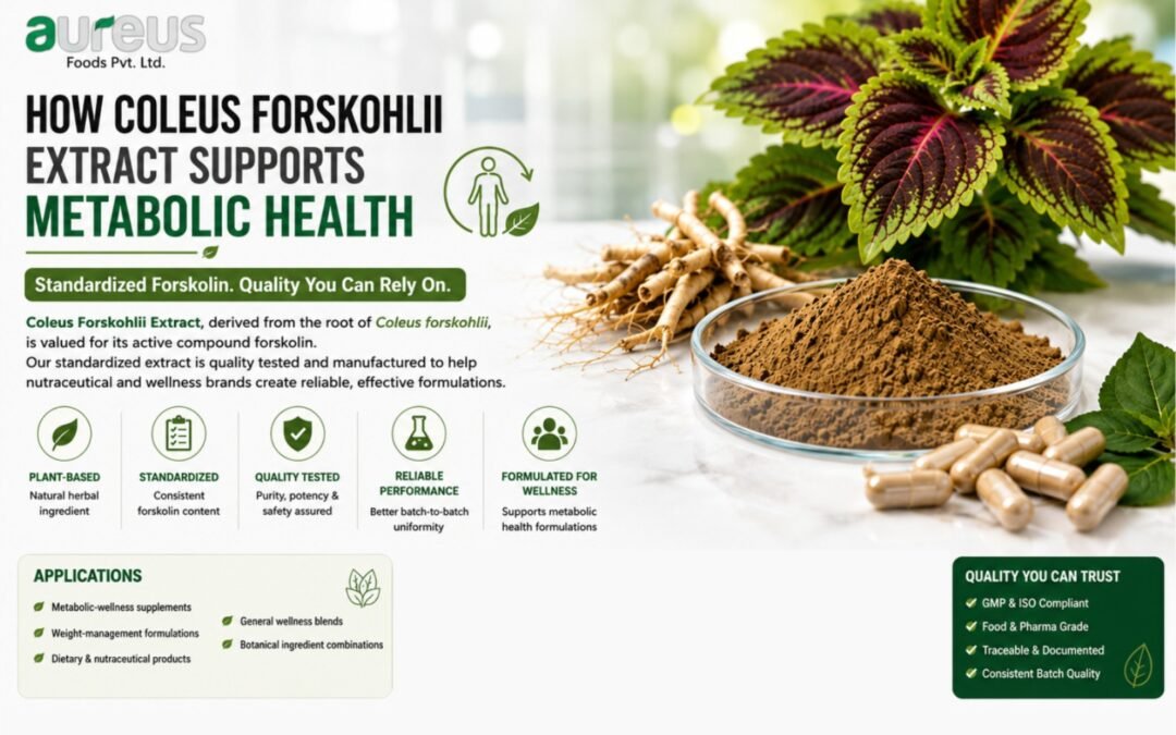 How Coleus Forskohlii Extract Supports Metabolic Health