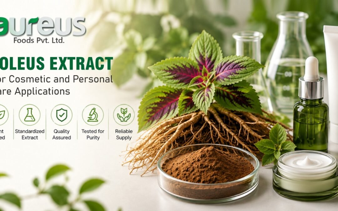 Coleus Extract for cosmetic and personal care applications