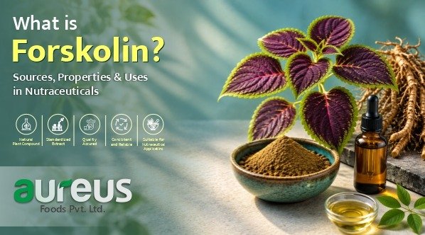 Forskolin extract from Coleus forskohlii root