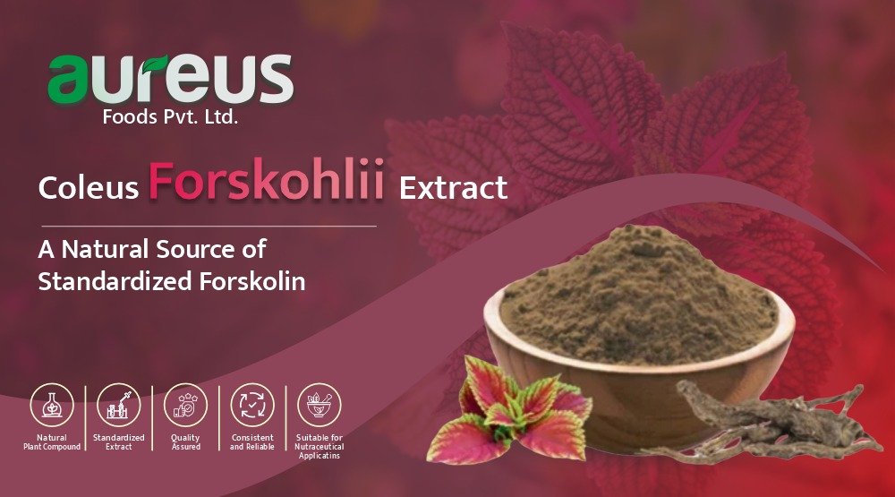 Coleus Forskohlii Extract: A Natural Source of Forskolin
