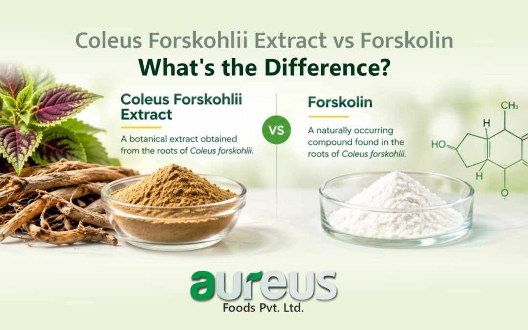 Coleus Extract vs Forskolin: What’s the Difference?