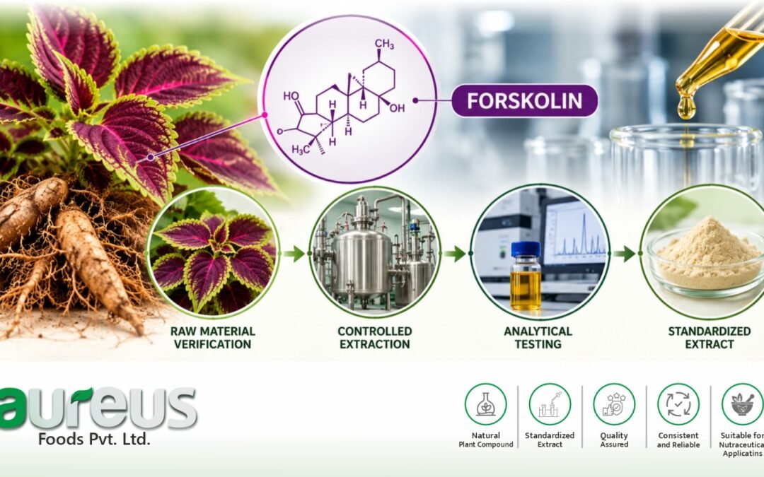 Why Standardization Matters in Coleus Forskohlii Extract Manufacturing